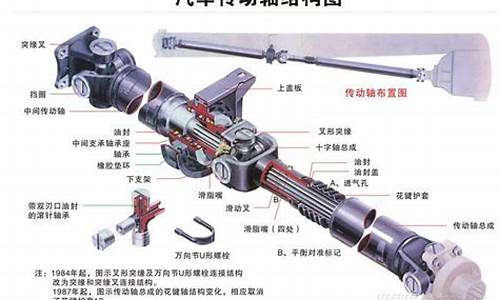 汽车传动轴结构图cad_汽车传动轴结构图解剖图