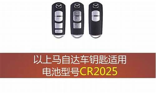 楼兰汽车钥匙电池型号是多少_楼兰汽车钥匙电池型号是多少号